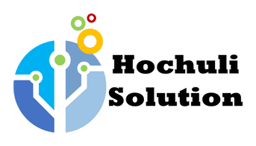 Hochuli Solution GmbH logo